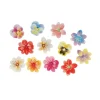 13 Fleurs 3D comestibles en azyme assorties-Cerf Dellier Best