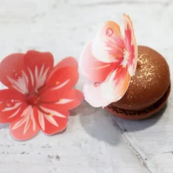 13 Fleurs 3D comestibles en azyme assorties-Cerf Dellier Best
