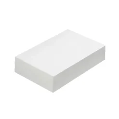 Boîte traiteur blanche 43 x 29 x 6 cm-Cerf Dellier Discount