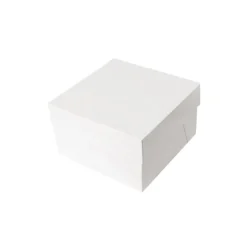 Boîtes pâtissières blanches 25x25 cm Hauteur 20 cm (x 10)-Cerf Dellier Discount