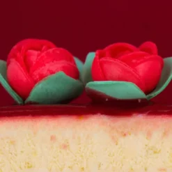 Boutons de rose rouge (x15)-Cerf Dellier Clearance