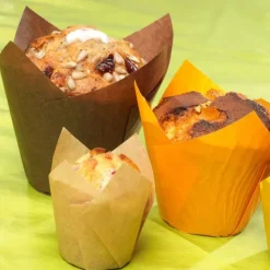 Caissette haute Tulipcup brune (x300)-Cerf Dellier New