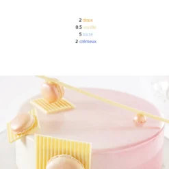 Chocolat Blanc Zéphyr pistoles 34 % 1 Kg-Cerf Dellier Discount