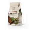 Chocolat de Couverture au lait origine Papouasie 35 % 2,5 Kg-Cerf Dellier Hot