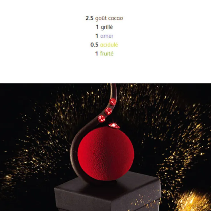 Chocolat de Couverture Noir Excellence pistoles 55 % 5 kg-Cerf Dellier Hot