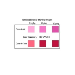 Colorant poudre alimentaire Rouge Cerise 100 g-Cerf Dellier New