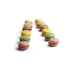 Coques de macarons assortis 4 saveurs (x180)-Cerf Dellier