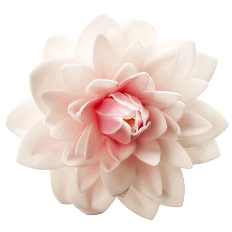Dahlia rose géant azyme-Cerf Dellier Discount