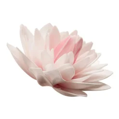 Dahlia rose géant azyme-Cerf Dellier Discount