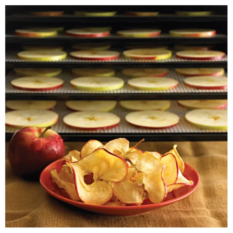 Déshydrateur électrique composite à fruits et légumes 9 plateaux 40° à 74° c-Cerf Dellier Sale