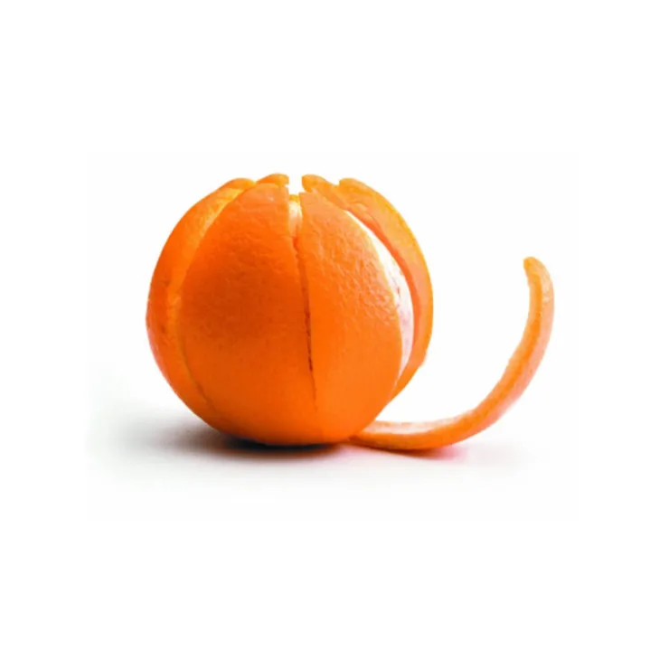 Eplucheur d'oranges inox-Cerf Dellier Sale