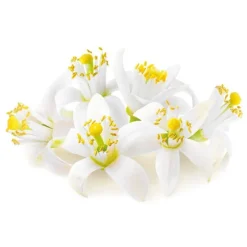 Extrait de fleur d'oranger 50 ml-Cerf Dellier