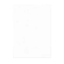 Feuilles azyme pour nougat et calissons A4 0,3 mm (x100)-Cerf Dellier