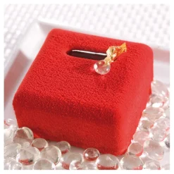 Flexipan 60x40 plaque de 24 mini-écrins 5x5x2,9 cm-Cerf Dellier
