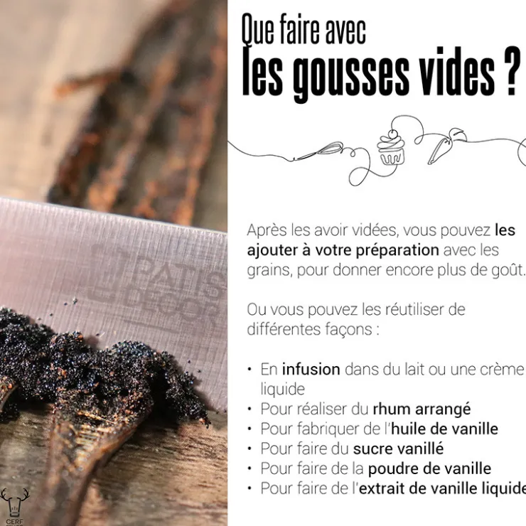 Gousses de vanille Bio (x2)-Cerf Dellier Sale