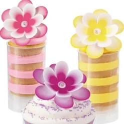 Kit 12 push up cake pops + présentoir Wilton-Cerf Dellier Sale