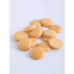 Le Petit Manuel du Macaron-Cerf Dellier Online