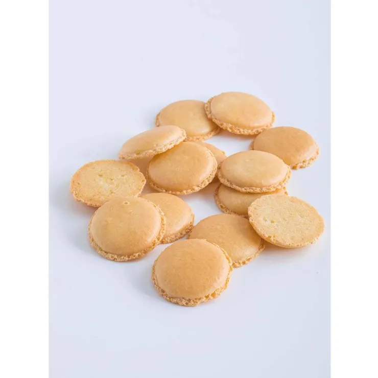 Le Petit Manuel du Macaron-Cerf Dellier Online