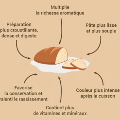 Levain de blé dur 150 g-Cerf Dellier Best