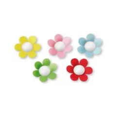 Marguerites assorties en azyme x12-Cerf Dellier Outlet