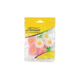 Marguerites assorties (x12)-Cerf Dellier Hot