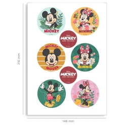 Mini disques azyme Mickey Minnie (x6)-Cerf Dellier Best