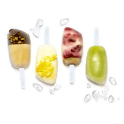 Moule à esquimaux silicone + 12 bâtons-Cerf Dellier Best