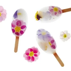 Moule à esquimaux silicone Waikiki + 50 bâtons-Cerf Dellier New