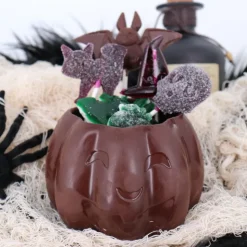 Moule chocolat citrouille d'Halloween-Cerf Dellier