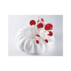 Moule silicone insert pour moules ronds Pavoni-Cerf Dellier Online