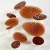 Moule silicone mini quenelles Pavoni-Cerf Dellier Online