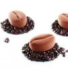 Moule silicone Moka Pavoni-Cerf Dellier Sale