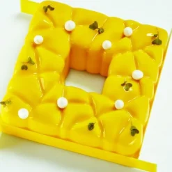 Moule silicone Square Pavoni-Cerf Dellier Hot