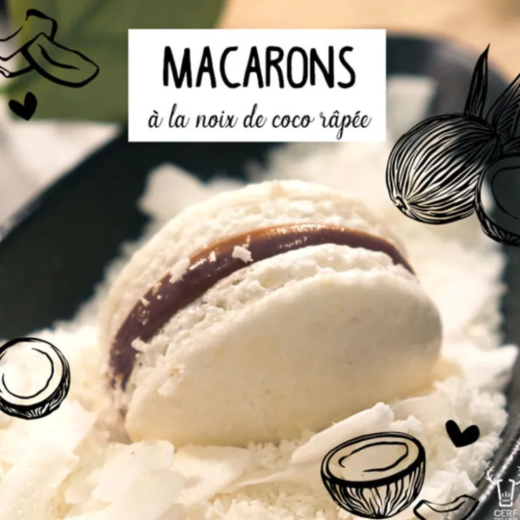 Noix de coco râpée fine 1kg-Cerf Dellier Best