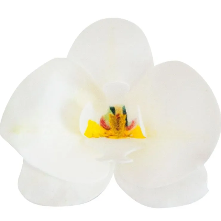 Orchidées blanches azyme (x10)-Cerf Dellier Online