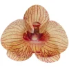 Orchidées jaunes azyme (x10)-Cerf Dellier Discount