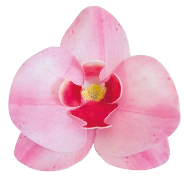 Orchidées roses azyme (x10)-Cerf Dellier Sale