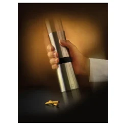 Peugeot moulin et shaker à cannelle Lanka-Cerf Dellier Sale
