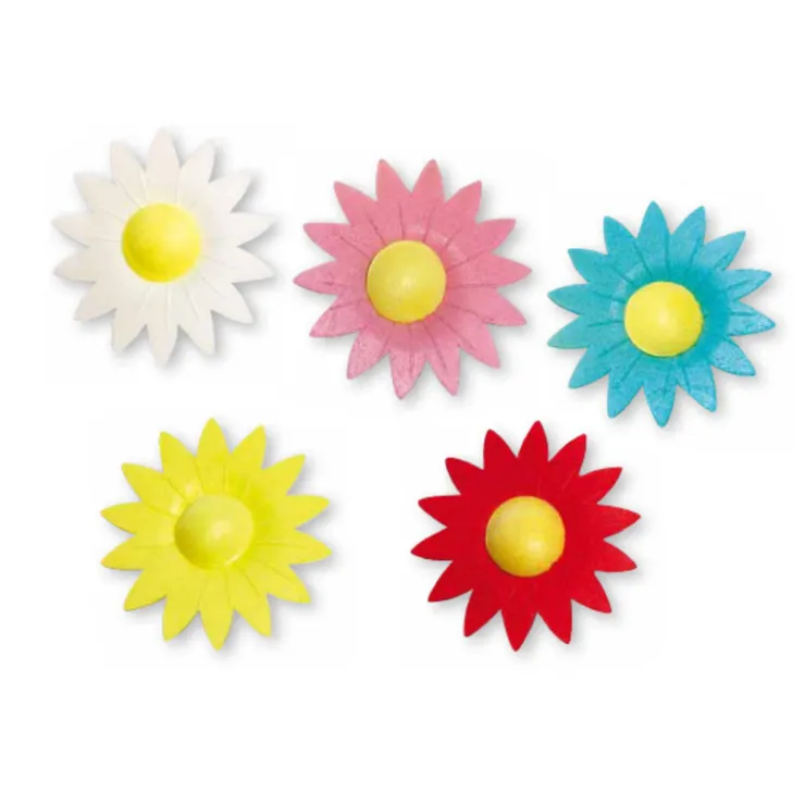 Pâquerettes assorties en azyme x20-Cerf Dellier Clearance