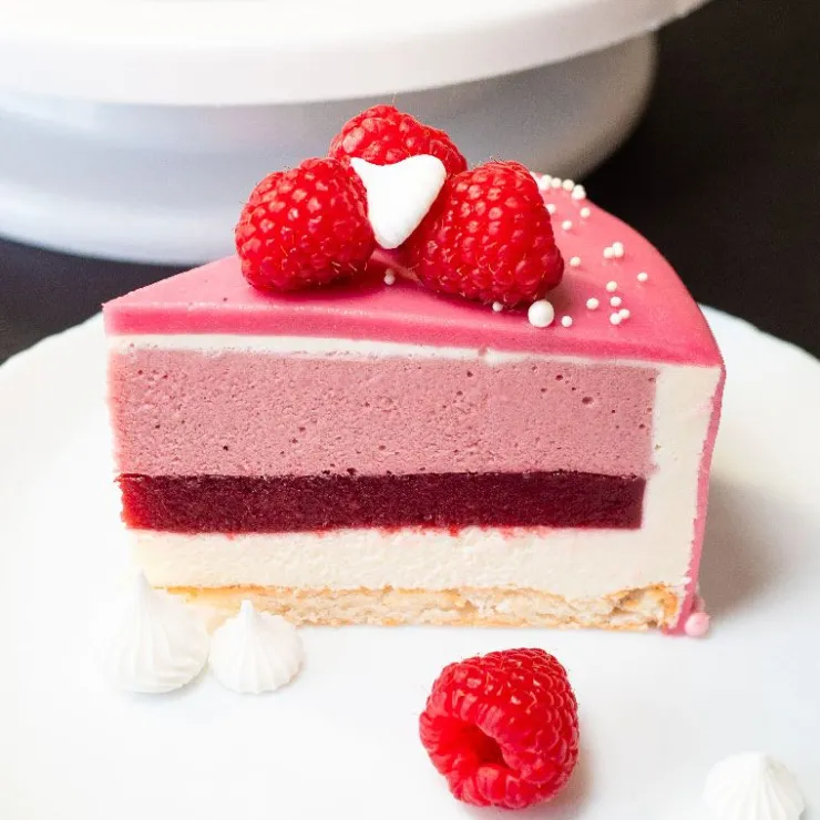 Préparation bavarois Gel Framboise-Cerf Dellier
