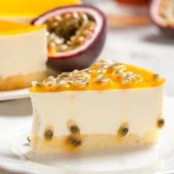 Préparation bavarois Gel Passion-Cerf Dellier Discount