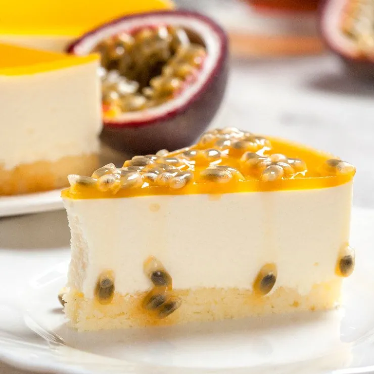 Préparation bavarois Gel Passion-Cerf Dellier Discount