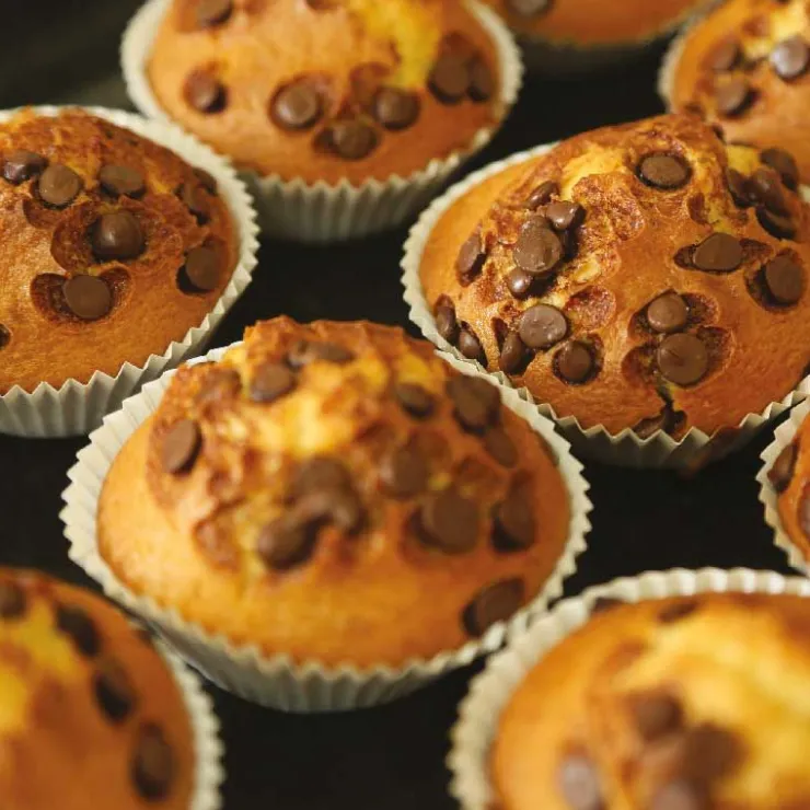 Préparation muffins 300 g-Cerf Dellier Hot