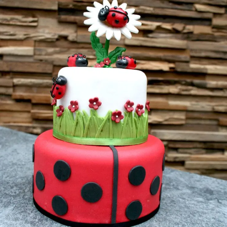 Pâte à sucre rouge 1 kg-Cerf Dellier New
