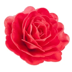 Rose rouge géante azyme-Cerf Dellier Clearance