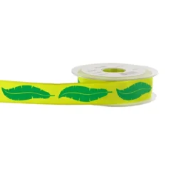 Ruban plumes anis 25 mm (20 m)-Cerf Dellier Discount