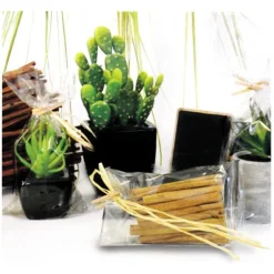 Sachets plats polypropylène - 150 x 270 mm (x100)-Cerf Dellier