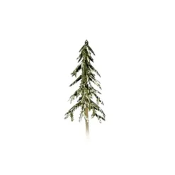 Sapin Or sur pique (x144)-Cerf Dellier Discount
