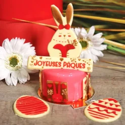 Transfert chocolat lapin de Pâques-Cerf Dellier Outlet