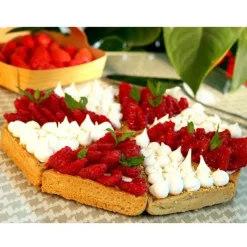 Triangle à parts de tarte (x8)-Cerf Dellier Sale